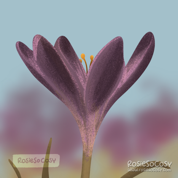 An illustration of a single purple crocus flower. The background is blurry, but you can see a light blue sky, multiple purple crocuses and green grass in the background.