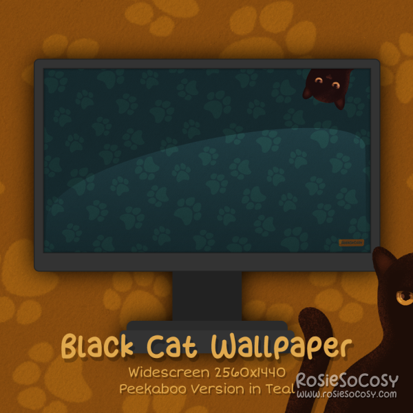 "Salem" Peekaboo Black Cat. Widescreen Wallpaper (2560x1440). Peekaboo Version. Teal Background. Created by RosieSoCosy aka Rosana Kooymans 