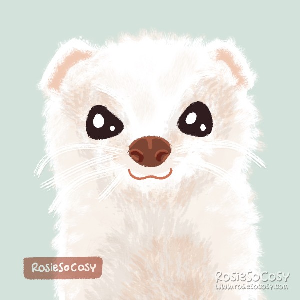 An illustration of a white weasel. It's looking at the camera and seems to be smiling. The ears are a soft pink and the eyes are black.