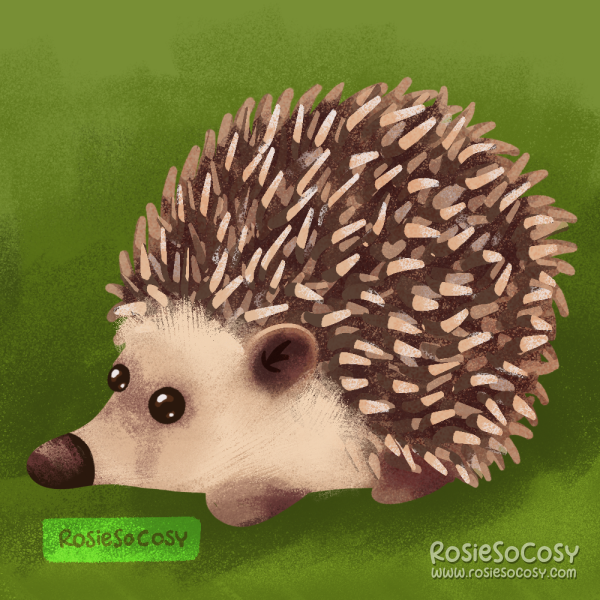 An illustration of a hedgehog in nature