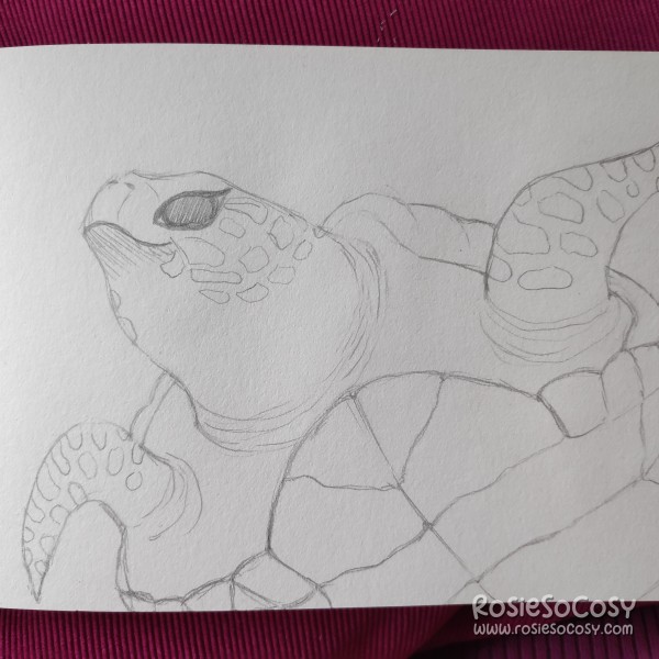 A pencil sketch of a sea turtle.
