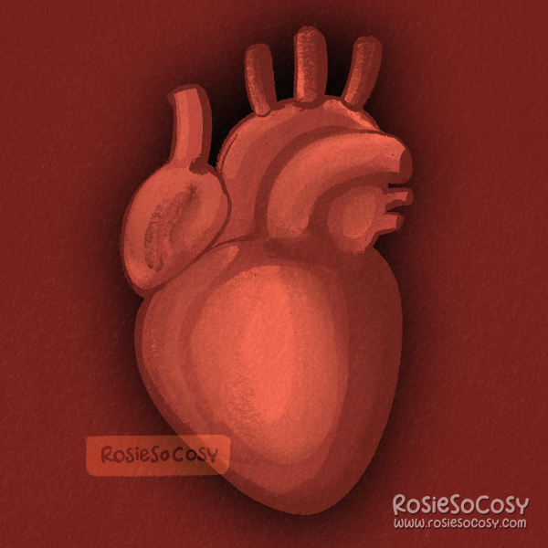 An illustration of a human heart, against a red background.
