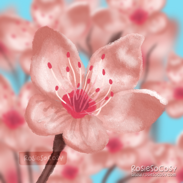 It's an illustration of cherry blossom branch and flower, up close. In the background are more blossoms.
