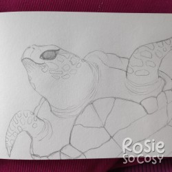 A pencil sketch of a sea turtle.