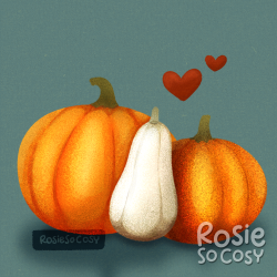 An illustration of pumpkins, three of them, next to each other. Two orange pumpkins and a white gourd in the middle.