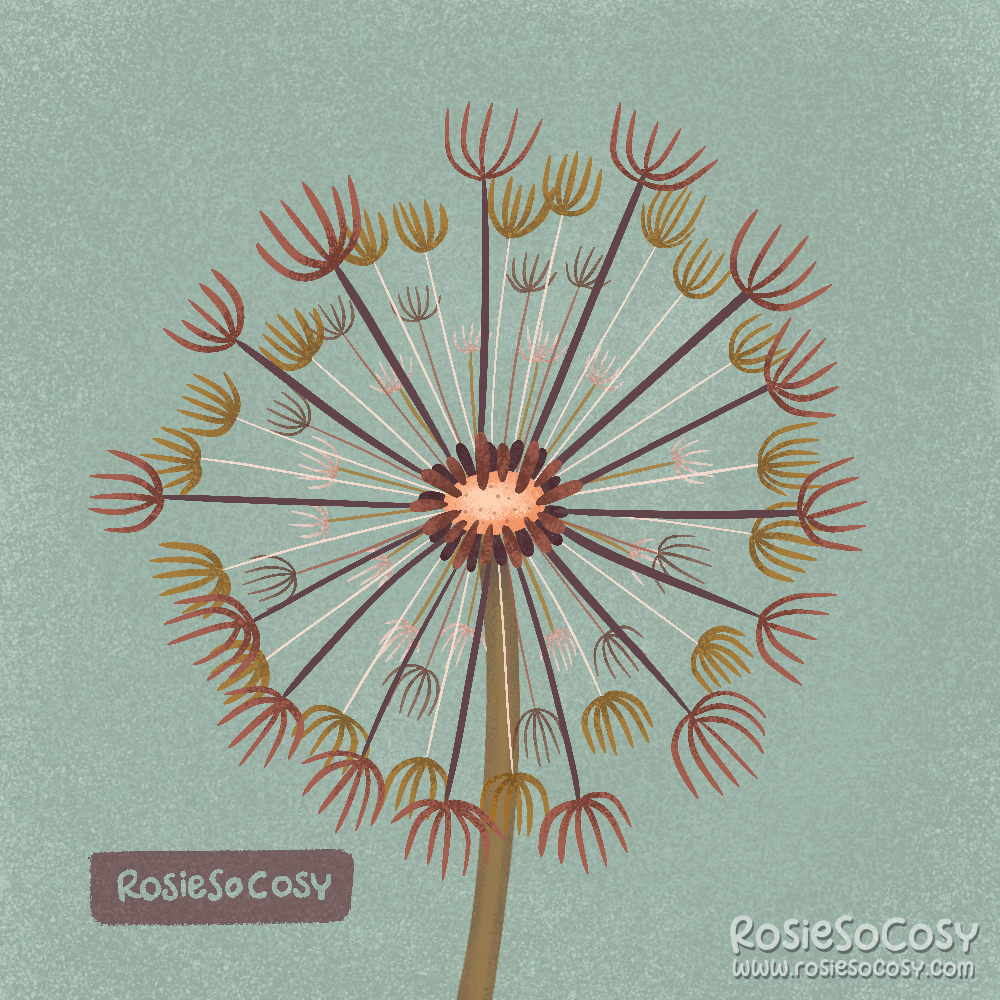 Illustration of a dandelion flower, but with unconventional colours. There is brown, red, green and cream.