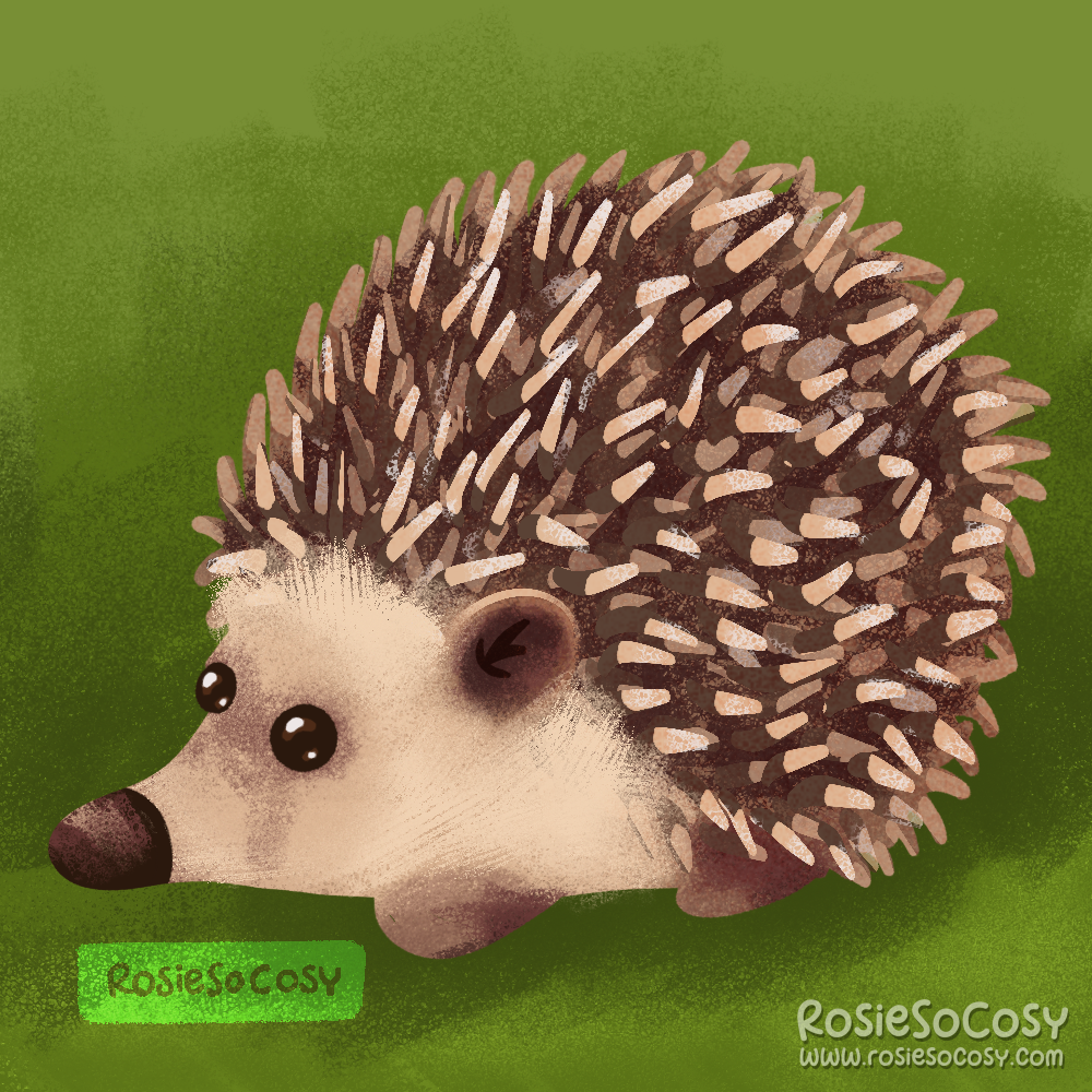 An illustration of a hedgehog in nature