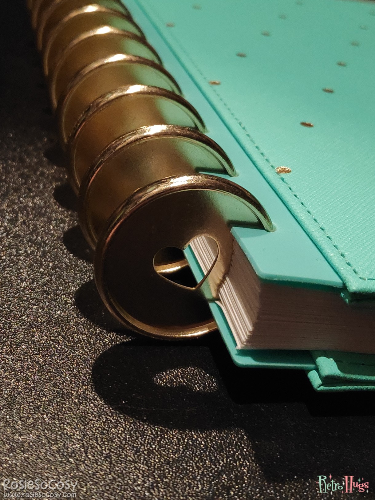 New disc rings for my planner